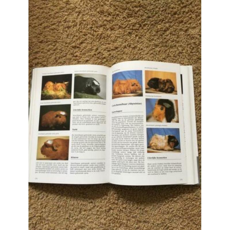 Konijnen en knaagdieren encyclopedie