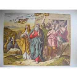 Antieke Platen Bijbel 19e eeuw OT+NT Browns Holy Illustrate